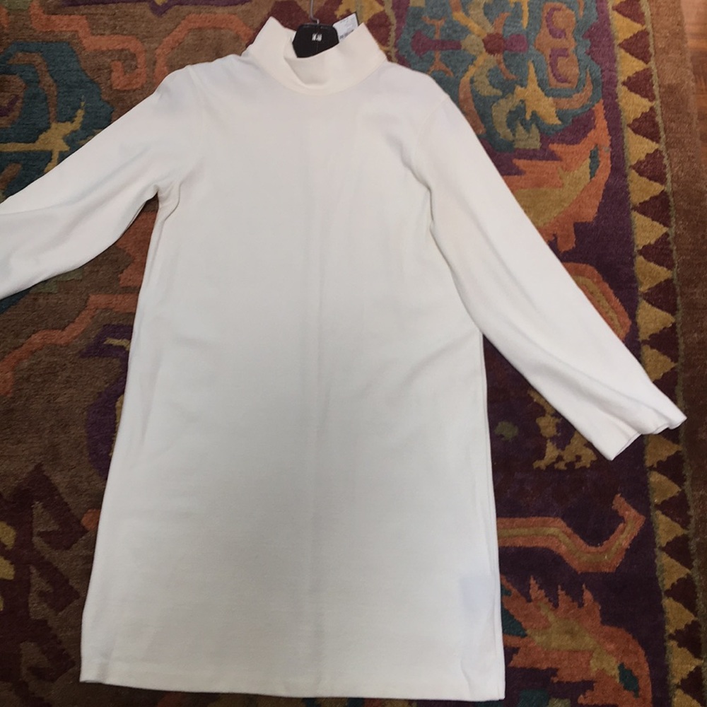 Club Monaco Mini Dress